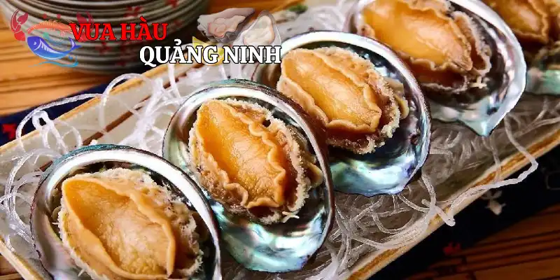 Bào ngư là loại thực phẩm quý báu