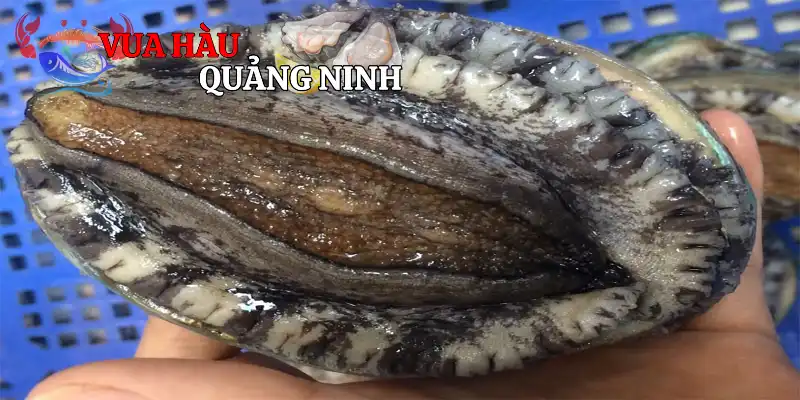 Vô vàn tác dụng mà thực phẩm mang lại