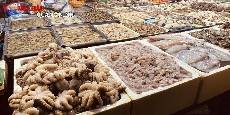 Tổng quan một số thông tin về chợ đêm hải sản Vũng Tàu