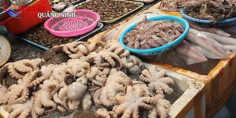 TOP những món ăn cực ngon mà bạn nên thử khi đi Vũng Tàu
