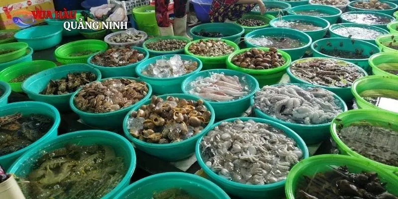 Những lý do khiến chợ hải sản trở nên vô cùng hấp dẫn