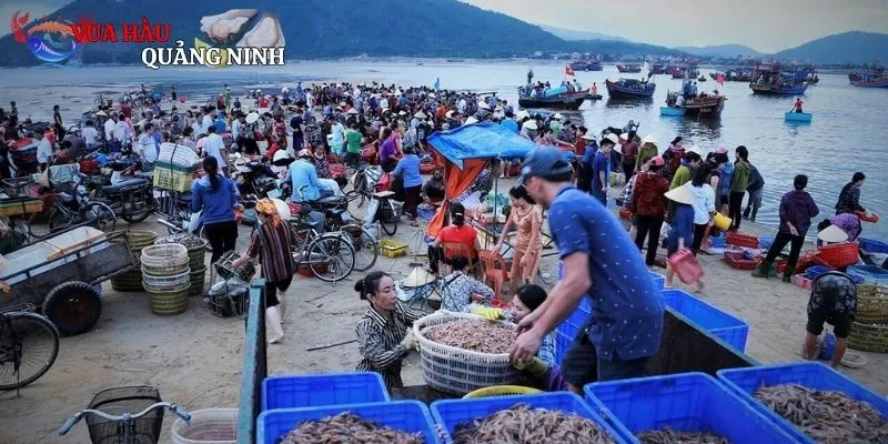 Kinh nghiệm săn hải sản ngon khi đi tham gia vào chợ Đà Nẵng