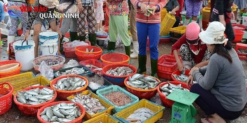 Một số chợ hải sản HOT và được nhiều người đón nhận tại Đà Nẵng