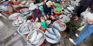 Chợ Hải Sản Đà Nẵng