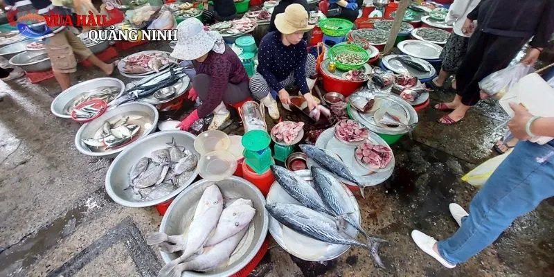 Chợ Hải Sản Đà Nẵng