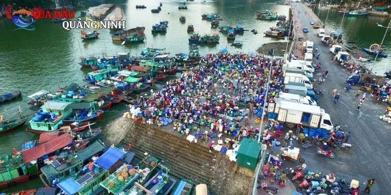 Tìm hiểu chi tiết một số địa điểm chợ hải sản Hạ Long nổi tiếng