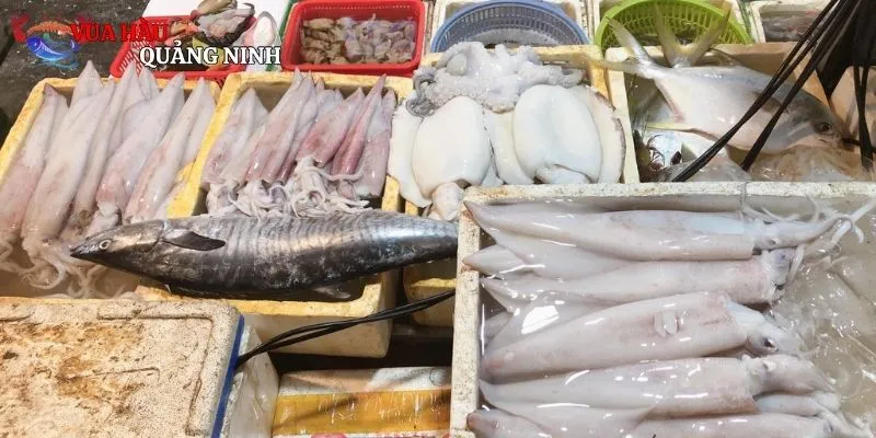 Một số nhà hàng nổi tiếng cùng các món hải sản tươi ngon