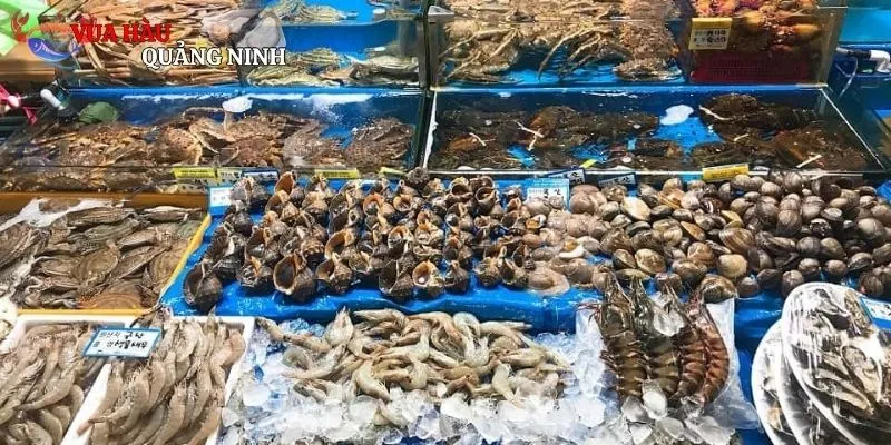Chợ Hải Sản Hạ Long