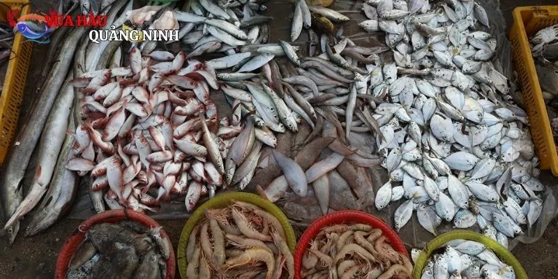 Tổng quan một số thông tin thú vị về chợ hải sản Hà Nội