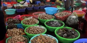 Chợ Hải Sản Hải Phòng