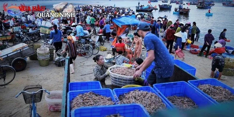 Khái quát những trải nghiệm thú vị về chợ hải sản Hồ Tràm