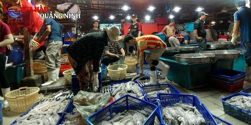 Những địa điểm du lịch nổi tiếng mà bạn nên ghé khi đi Hồ Tràm