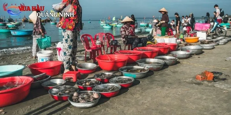 Danh sách những món hải sản cực ngon mà bạn nên trải nghiệm