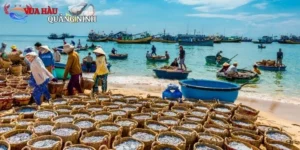 Chợ Hải Sản Phan Thiết