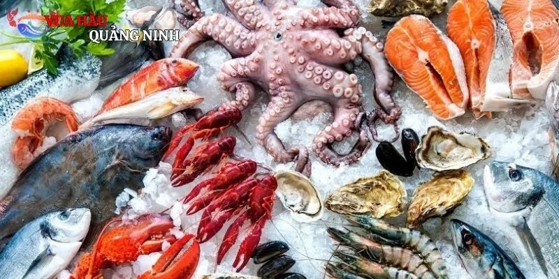 Tổng quan một số thông tin về chợ hải sản Quy Nhơn
