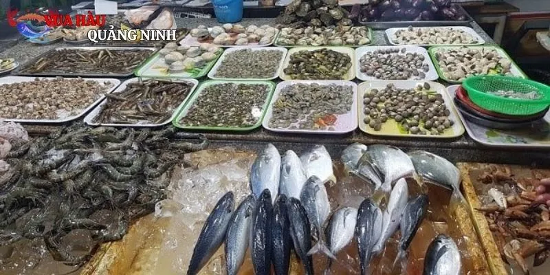 Những lý do khiến bạn nên tham gia phiên chợ thủy sản