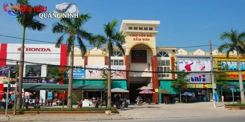 Tìm hiểu một số thông tin thú vị về chợ hải sản Sầm Sơn