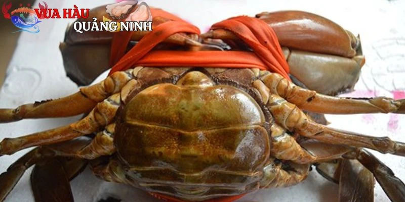 Lưu ý khi chế biến cua