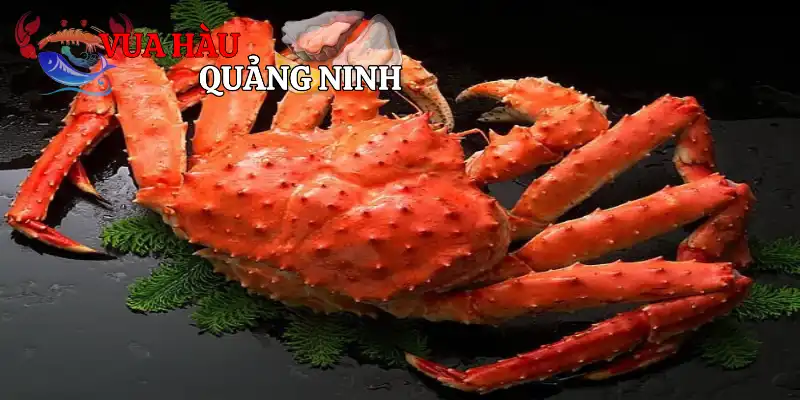 Khách quan về cua huỳnh đế