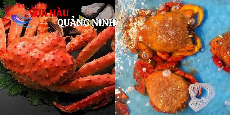 Cua Huỳnh Đế