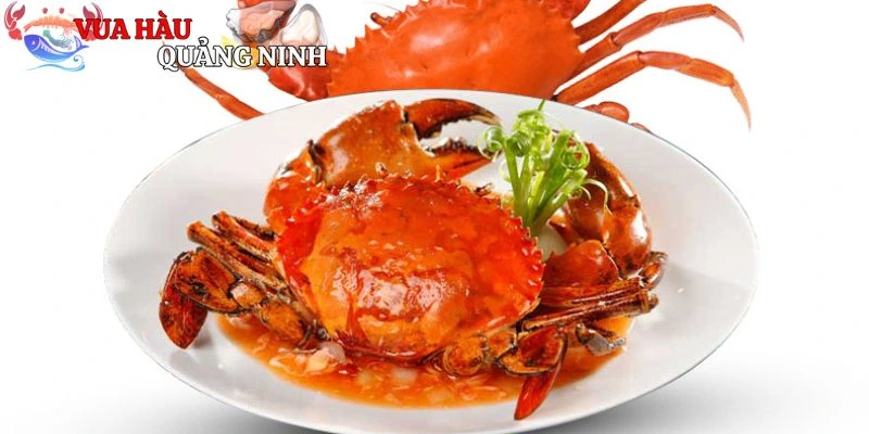 Đặc điểm và giá trị dinh dưỡng của cua thịt