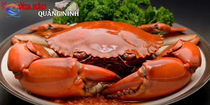 Cách chọn cua thịt tươi ngon