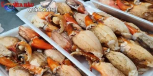 Cua Thịt
