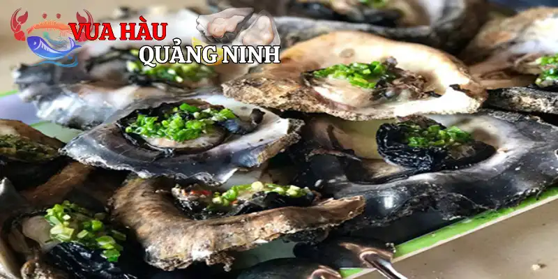 Hàu Đá