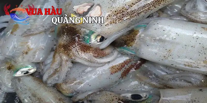 Mực Mi-Nơ
