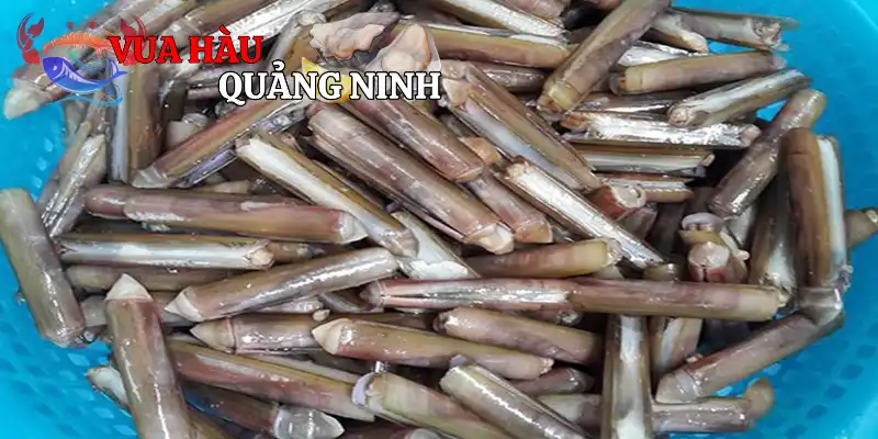 Hàm lượng dinh dưỡng trong thịt ốc cao