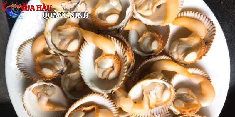 Các món ngon với sò dương