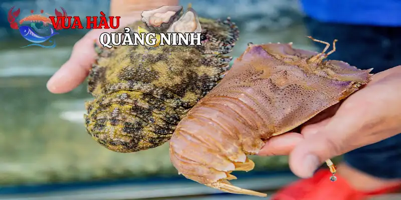 Giá trị dinh dưỡng trong tôm
